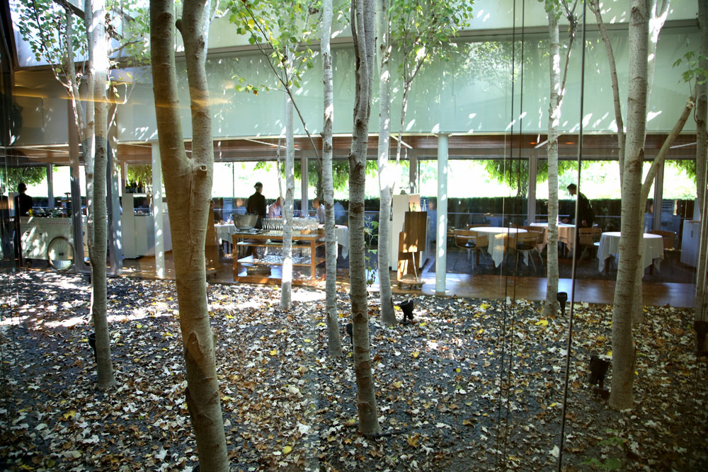 El Celler de Can Roca ser ikke ut som andre restauranter, men er bygd i triangelform rundt et atrium med en liten bjørkelund. Foto: Helle Øder Valebrokk