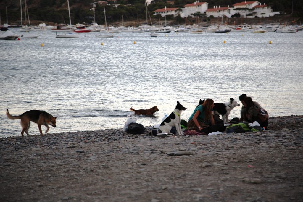 Det er mye "rufs" i Cadaqeus som gjør byen til det den er, og vi savner gatesangerne som ikke lenger får lov å spille der. Foto: Erik Valebrokk