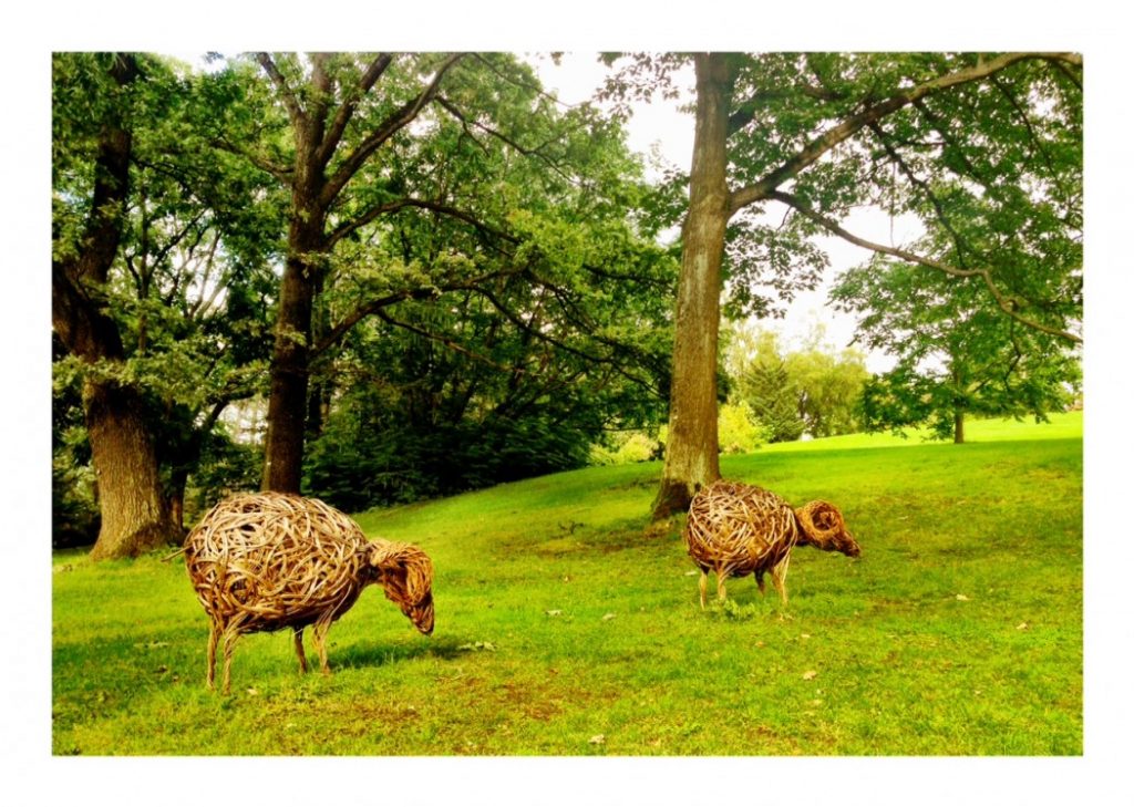 Foto: Erik Valebrokk