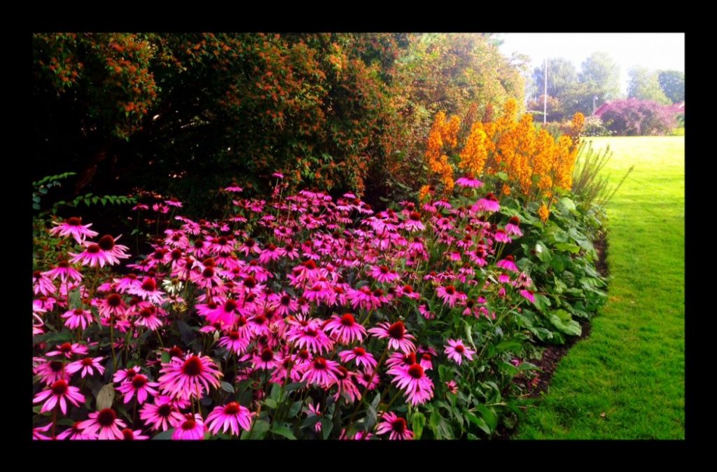 Foto: Erik Valebrokk