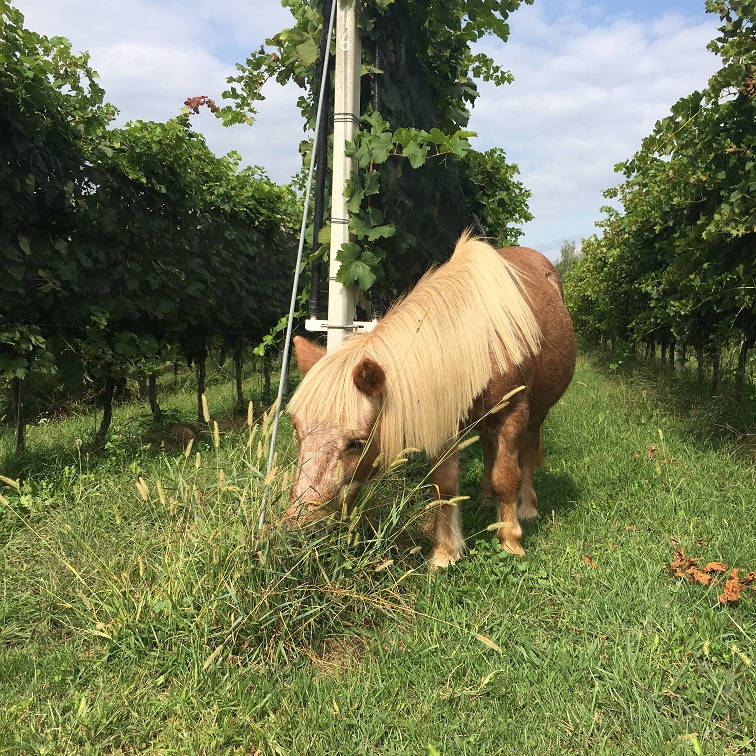 Foto: Erik Valebrokk