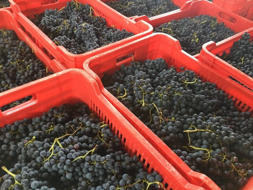 Foto: Erik Valebrokk