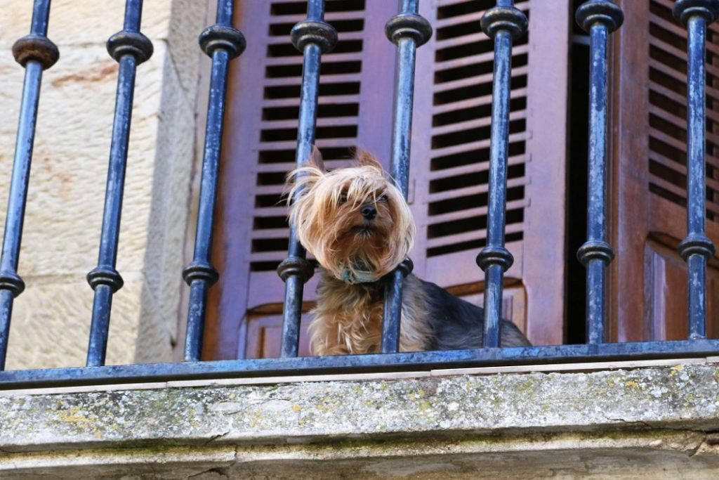 Foto: Erik Valebrokk