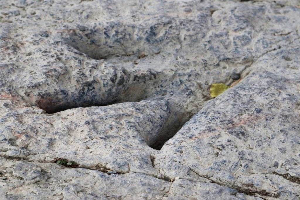 Foto: Erik Valebrokk