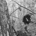 Foto: Kåre Indrehus