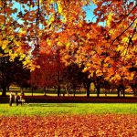 Foto: Erik Valebrokk