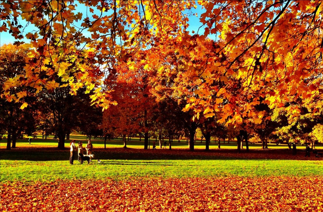 Foto: Erik Valebrokk