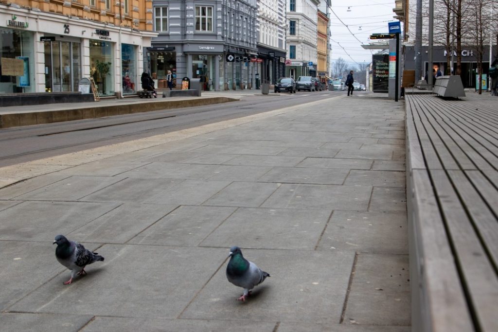 Foto: Erik Valebrokk