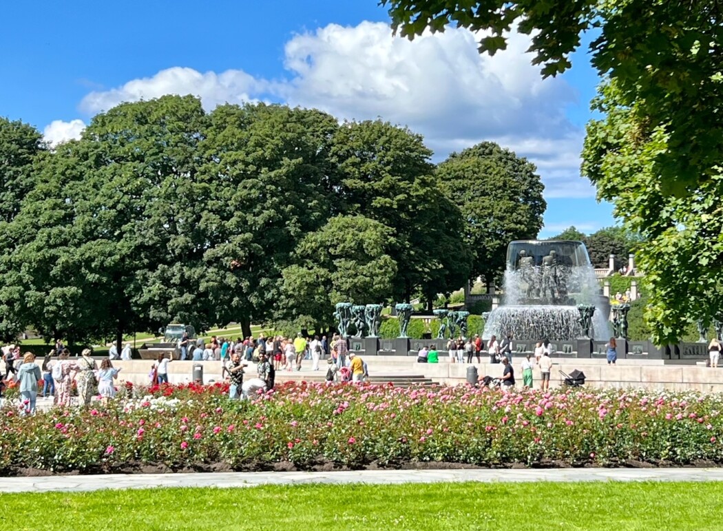 Sommer i Frognerparken - det er fint, det! Foto: Erik Valebrokk